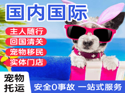 保山云瑞航空物流国际宠物托运 【国